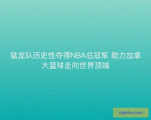 猛龙队历史性夺得NBA总冠军 助力加拿大篮球走向世界顶端 猛龙队历史性夺得NBA总冠军 助力加拿大篮球走向世界顶端