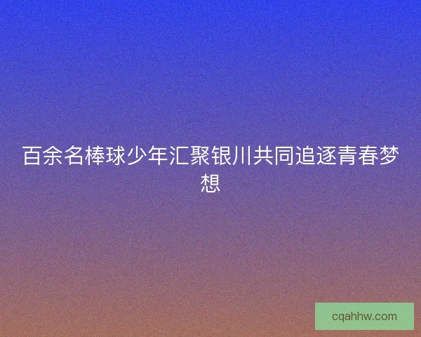 百余名棒球少年汇聚银川共同追逐青春梦想
