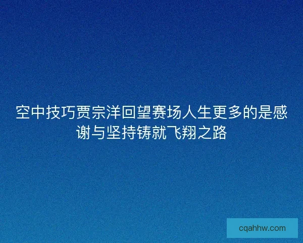 空中技巧贾宗洋回望赛场人生更多的是感谢与坚持铸就飞翔之路