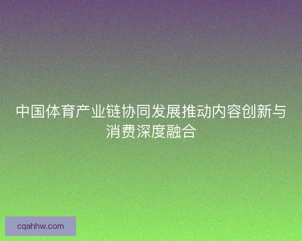 中国体育产业链协同发展推动内容创新与消费深度融合