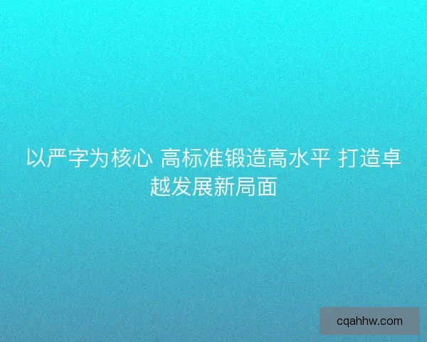 以严字为核心 高标准锻造高水平 打造卓越发展新局面