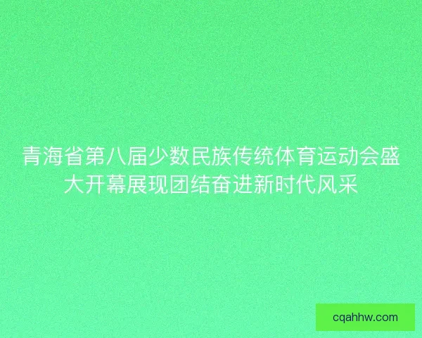 青海省第八届少数民族传统体育运动会盛大开幕展现团结奋进新时代风采 青海省第八届少数民族传统体育运动会盛大开幕展现团结奋进新时代风采
